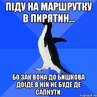 ПІДУ НА МАРШРУТКУ В ПИРЯТИН... БО ЗАК ВОНА ДО БИШКОВА ДОЇДЕ,В НІЙ НЕ БУДЕ ДЕ САПНУТИ.