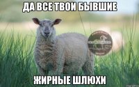 Да все твои бывшие жирные шлюхи