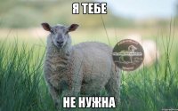 Я тебе не нужна