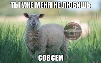 ТЫ УЖЕ МЕНЯ НЕ ЛЮБИШЬ СОВСЕМ