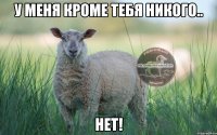 У меня кроме тебя никого.. нет!