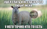 ушел спать и не сказал что любит меня у него точно кто-то есть