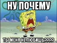 Ну почему ты меня не любишь????