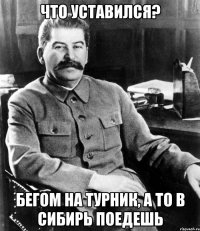 Что уставился? Бегом на турник, а то в Сибирь поедешь