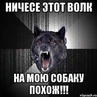 ничесе этот волк на мою собаку похож!!!