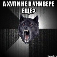 А хули не в универе еще? 