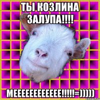 ты козлина залупа!!!! МееЕееееЕЕееЕ!!!!!=)))))