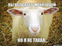 вы называете меня овцой но я не такая..