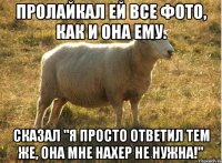 Пролайкал ей все фото, как и она ему. Сказал "Я просто ответил тем же, она мне нахер не нужна!"