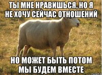 ты мне нравишься, но я не хочу сейчас отношений но может быть потом мы будем вместе