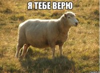 Я тебе верю 