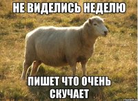 Не виделись неделю Пишет что очень скучает