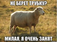 не берет трубку? милая, я очень занят