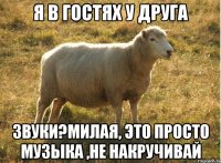 я в гостях у друга звуки?милая, это просто музыка ,не накручивай