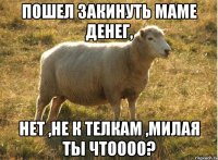 пошел закинуть маме денег, нет ,не к телкам ,милая ты чтоооо?