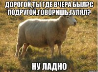 дорогой,ты где вчера был?с подругой,говоришь,гулял? ну ладно