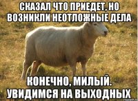 Сказал что приедет, но возникли неотложные дела Конечно, милый. Увидимся на выходных