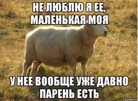 Не люблю я ее, маленькая моя У нее вообще уже давно парень есть