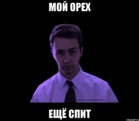 мой орех ещё спит