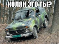 Колян это ты? 