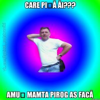 Care piță ăi??? Amuș mamta pirog as facă