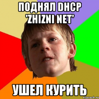 поднял DHCP 'zhizni net' ушел курить