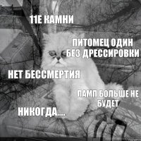 11е камни питомец один без дрессировки нет бессмертия ламп больше не будет никогда....