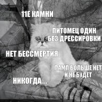 11е камни питомец один без дрессировки нет бессмертия ламп больше нет и не будет никогда....