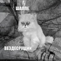 Шалле    Вездесрущий