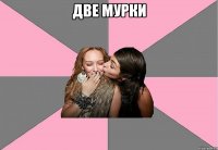 две Мурки 