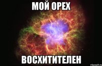 мой орех восхитителен