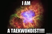 I am a Taekwondist!!!!