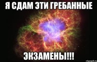 Я сдам эти гребанные Экзамены!!!