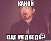 какой еще медведь?