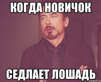 Когда новичок Седлает лошадь