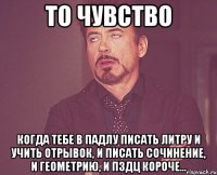 То чувство Когда тебе в падлу писать литру и учить отрывок, и писать сочинение, и геометрию, и пздц короче...