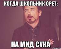 Когда школьник орет: НА МИД СУКА