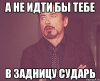 а не идти бы тебе в задницу сударь