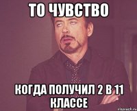 То чувство Когда получил 2 в 11 классе