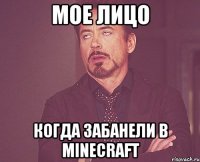 мое лицо когда забанели в Minecraft