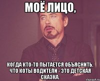 Моё лицо, когда кто-то пытается объяснить, что Коты Водители - это детская сказка.