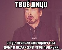 твоё лицо когда призрак живущий у тебя дома в тихаря жрёт твои печеньки