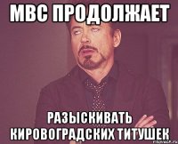 МВС продолжает разыскивать кировоградских титушек