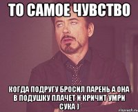 То самое чувство когда подругу бросил парень а она в подушку плачет и кричит умри сука )