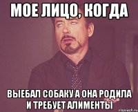 мое лицо, когда выебал собаку а она родила и требует алименты