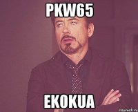 PKW65 eK0KuA