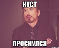 куст проснулся