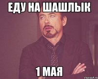 еду на шашлык 1 мая