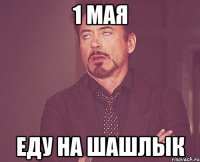 1 мая еду на шашлык