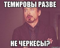 темировы разве не черкесы?